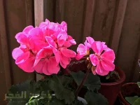 IMG_9422.webp IMG_9422.webp
