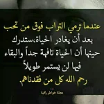 5202-8.webp