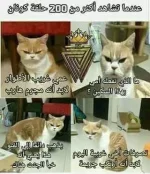 1538662293451.webp