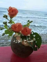 IMG-20181010-WA0000.webp