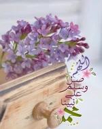 IMG_20181011_204752_104.webp