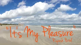 its-my-pleasure.webp