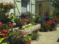460_location_gite_chambre_1.webp