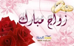 9d4a426799.webp