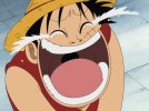 [IMAGE] One Piece - Luffy pleure de joie bis.jpg