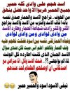 shof_1f5e2abfa445fb4.jpg