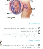 1542831618904.webp