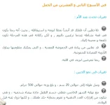 1542831739490.webp