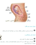 1542832265320.webp