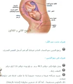 1542832483915.webp