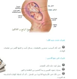 1542832587525.webp