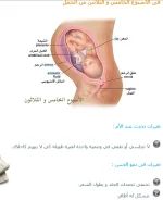 1542832630292.webp