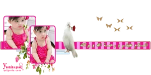 بسملة بنوته.png