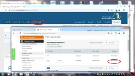 lama2.webp