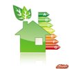 leaf_green_house_class_energy.jpg