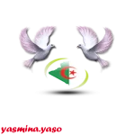 2.webp 2.webp