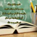 43529522355_40f39ee914_b.webp
