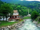 1546174465264.webp