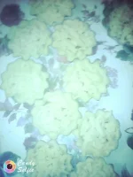 IMG_20181226_113919.webp