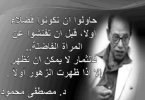 مصطفى-محمود_6316.jpg