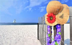 thumb-1920-902563.webp