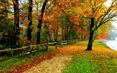 68409-full_1680x1050-px-free-desktop-wallpaper-fall-colors.webp 68409-full_1680x1050-px-free-desktop-wallpaper-fall-colors.webp
