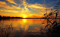 Fond d'écran paysage en Full HD.webp