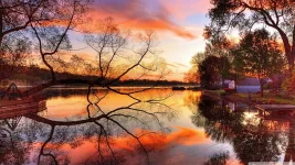 64702.autumn_32-wallpaper-1366x768__1_.webp