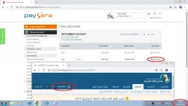 28.webp