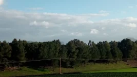 1549304419661.webp