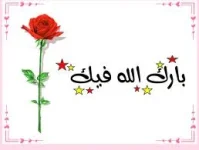 images (40).webp
