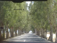 05082010911.webp