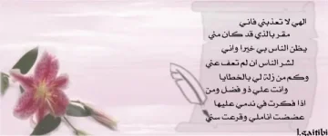 _2_copy (73).webp