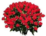 100rozes_l.webp