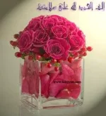 images (8).webp