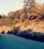 FB_IMG_15067216967451491.webp