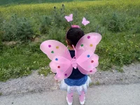 IMG-bbd390adc05ce09178df047f36647ff2-V.webp