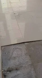 103981 103981