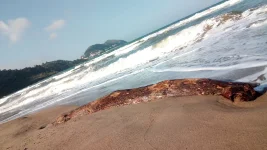 IMG_20190417_165113.webp