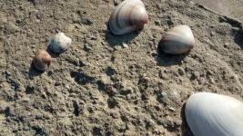 IMG_20190417_171034.webp