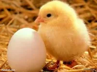 images (7).webp