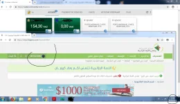 Capture.PNGWEBMONEY 05-05-2019.webp