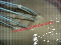 SAM_5214.webp
