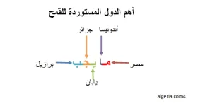 7.webp