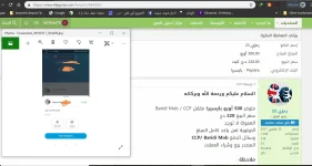 ramzi.webp