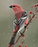 2D5EA621-F6EB-4A71-B77C-11280C3E9E4F.webp