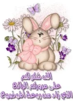 تنزيل (5).webp
