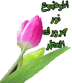 الرد2.gif