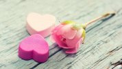 heart_flower_tenderness_pink_95342_1280x720.jpg