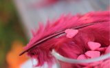 feathers_heart_red_bright_67370_1680x1050.jpg